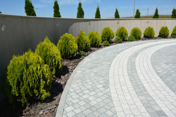 Best Driveway Pavers Near Me  in Sangaree, SC
